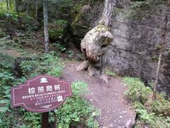 -汤旺河林海奇石景区
