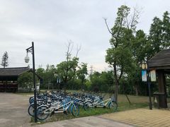 -梁鸿国家湿地公园