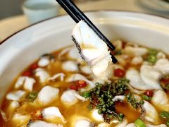 -青花椒花椒鱼(合生汇店)