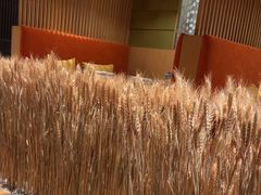 -西村日本料理(香格里拉饭店)