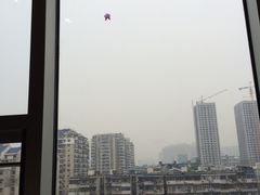 -海底捞火锅(武胜路凯德广场店)