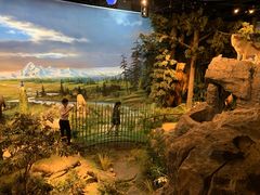 -陕西自然博物馆