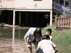 -大余丫山旅游度假区