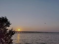 -宝安西湾红树林湿地公园