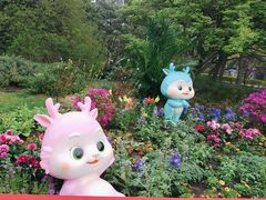 -国家植物园