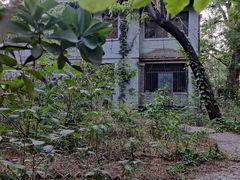 -北京大学燕东园