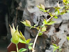 -李叔同故居纪念馆