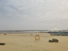 -碧海金沙