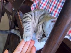 -鼓楼吃面·肉啃肉(南锣鼓巷店)
