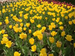 -长春公园(普阳街道)