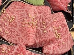 -俺的焼肉(銀座9丁目店)