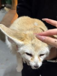 -Zoolung Zoolung动物主题公园(海信广场店)