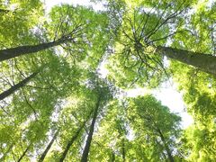 -山王坪喀斯特国家生态公园