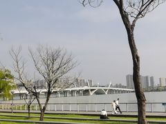 -蠡湖大桥公园