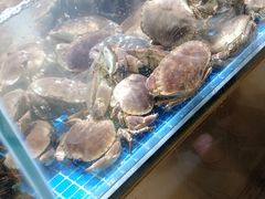 -七鲜超市(通州ONE店)