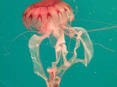 -多彩贵州城极地海洋世界