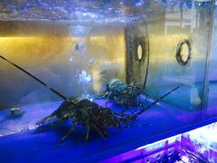 -劲烧-烧烤工坊(保利水城店)