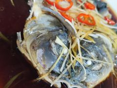 -煲来饱去冷水鱼