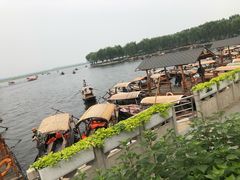 -白洋淀景区