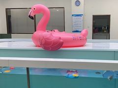 -优加国际游泳中心(开发区万达店)