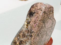 -重庆自然博物馆(新馆)