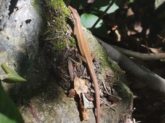 -东天目山风景区