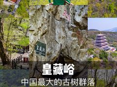 -皇藏峪国家森林公园