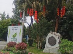 -广州市流溪河国家森林公园