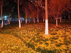 -杭州城北体育公园