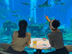 -亚特兰蒂斯•OSSIANO奥西亚诺海底餐厅