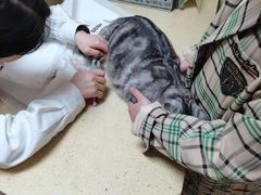 -安安宠医·安宠宠物医院