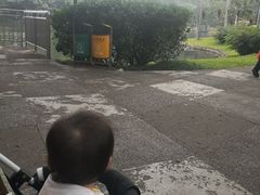 -晓港公园