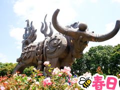 -四海公园(南山区)