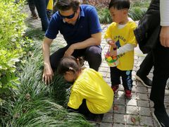 -AKA国际儿童中心Awesome Kids Academy