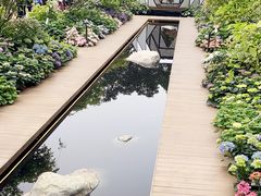 -深圳仙湖植物园