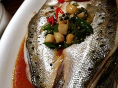 -绿茶餐厅(华联万柳店)