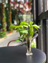 -保丽宝泰母婴护理院·月子中心·产康·中医(常州店)