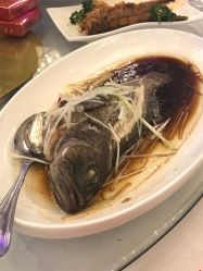 点击看大图 -新锦江大酒店·宴会厅·婚宴