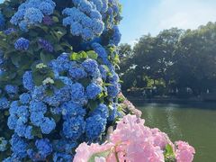 -无锡蠡湖国家湿地公园-蠡园