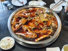 -花鲢鱼头火锅(春城东路店)