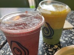 -油梨树AVOCADO TREE(顺义新国展店)