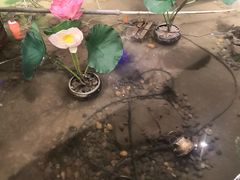 -苏浙徽·江南荟·本味融合菜(相城方圆里店)