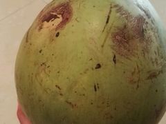 椰青-润泽园椰子鸡(汇一城店)