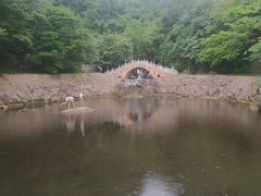-西安祥峪森林公园