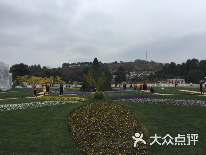 漫花莊園-圖片-新都區周邊遊-大眾點評網