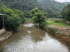 -鼎湖山风景区