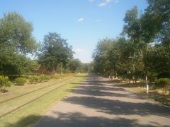 -永定河休闲森林公园