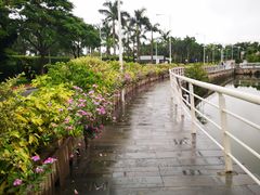 -厦门国家会计学院