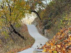 -北京西山国家森林公园