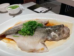 清蒸鲈鱼-煲煲好(朝阳门店)